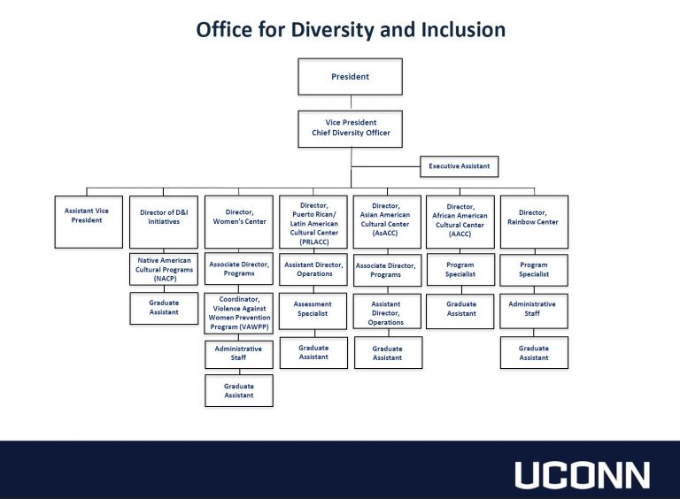 Our Team | Office for Diversity and Inclusion